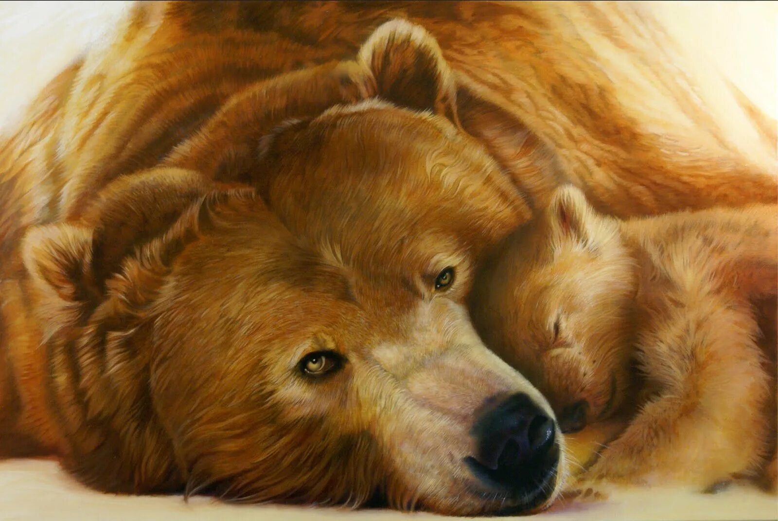 Карандаши цветные "животные". Картина медведь. Картины с изображением медведей. Картина семья медведей. Animal johns