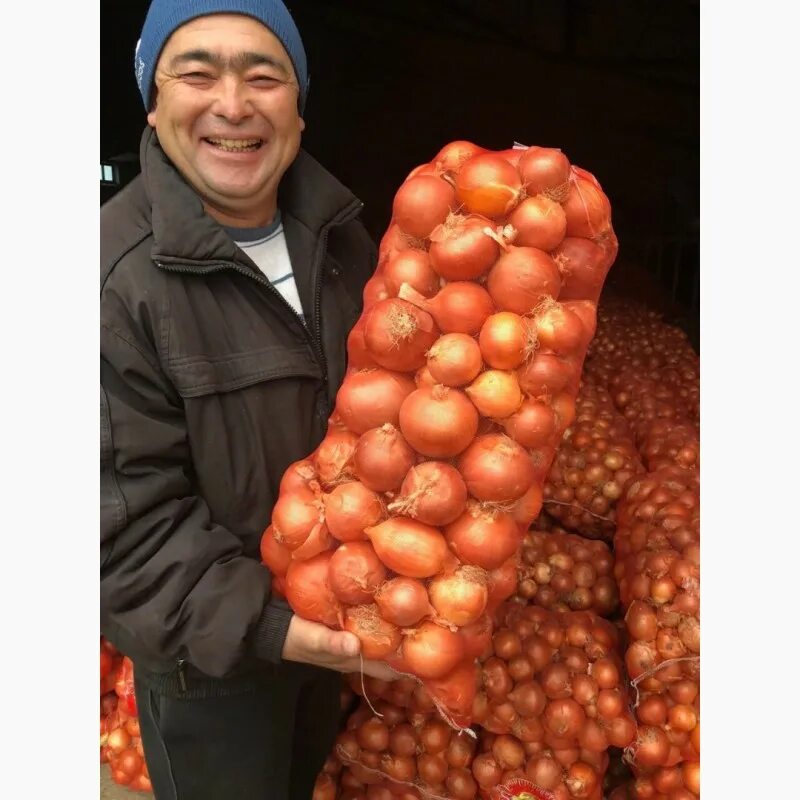 Где продавать лук. Где продавать лук