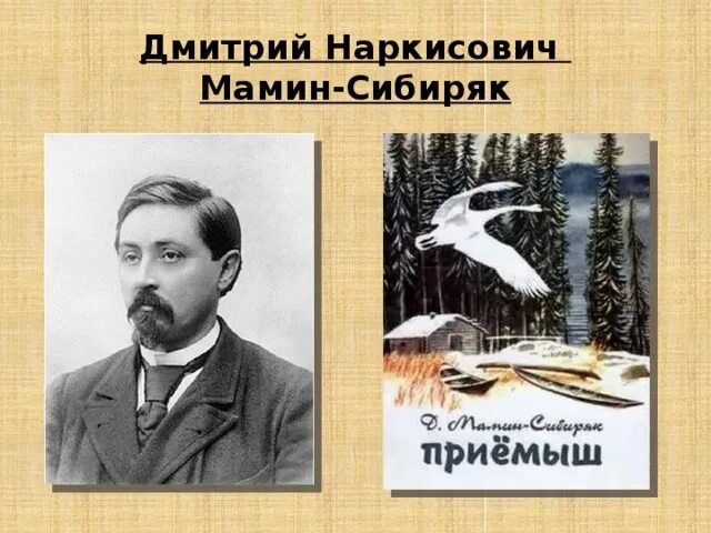 Мамин Сибиряк писатель натуралист. Сайма мамин сибиряк что такое