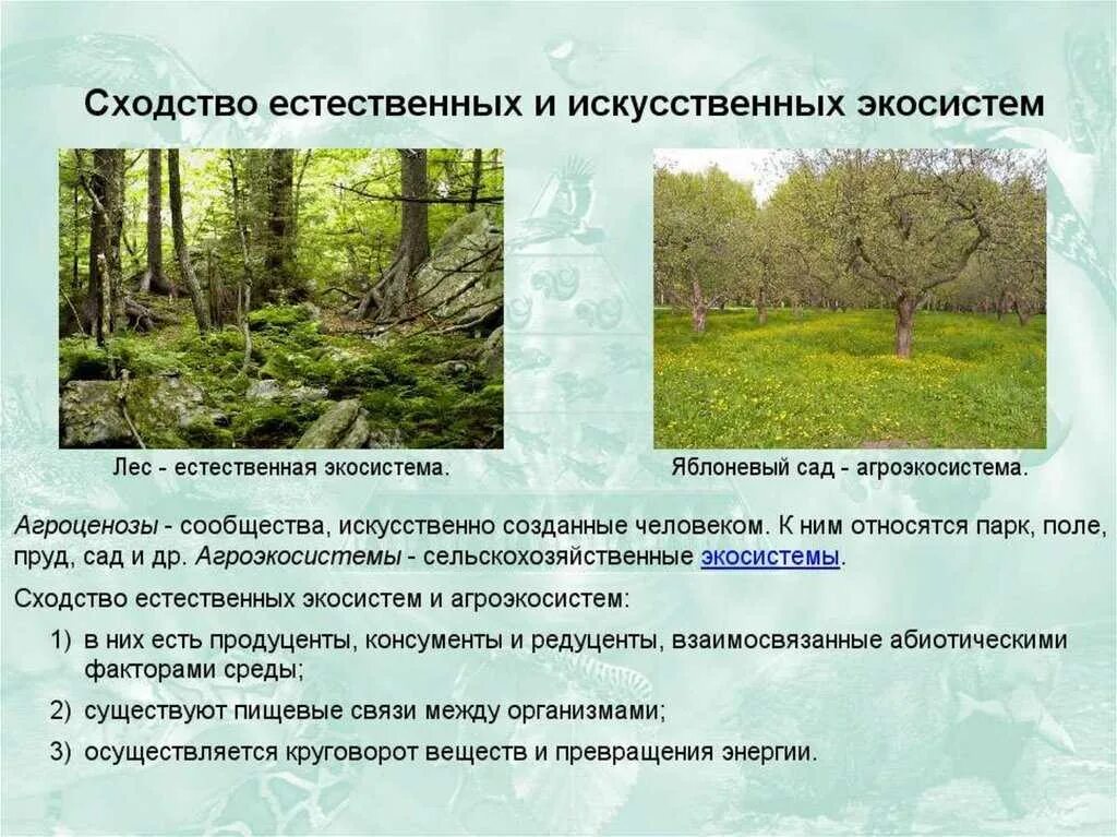 Каковы причины смены биоценозов. Искусственные сообщества агроэкосистемы. Естественная экологическая система это. Особенности естественной экосистемы. Искусственные растительные сообщества.