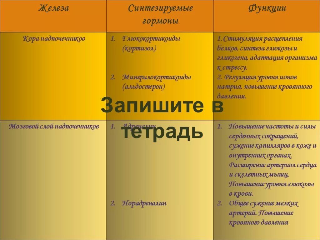 Железа надпочечники гормоны и функции таблица. Гормоны надпочечников и их функции. Функции половых гормонов надпочечников. Гормоны коркового слоя надпочечников и их функции. Роль и функция гормонов