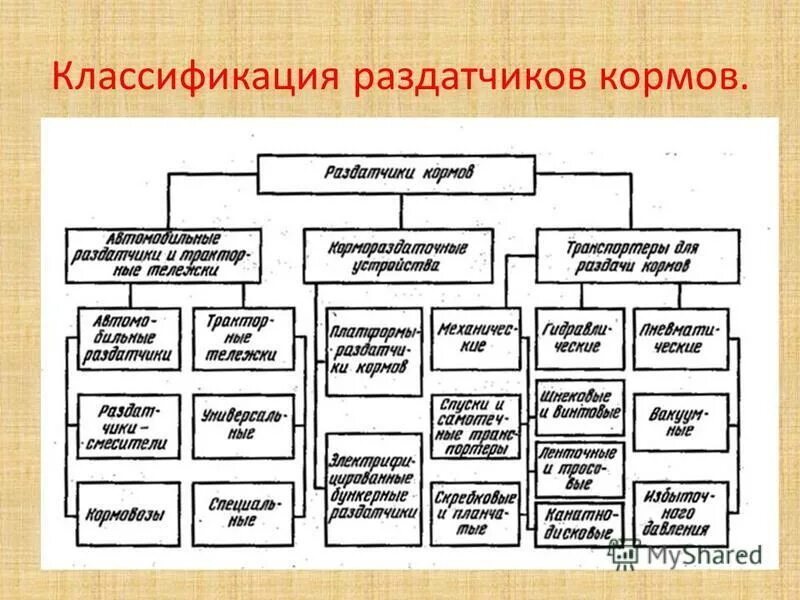 Основные группы кормов. Корма классификация кормов. Классификация кормов животного происхождения.. Классификация кормов таблица комбикорма. Классификация кормов Зоотехния.