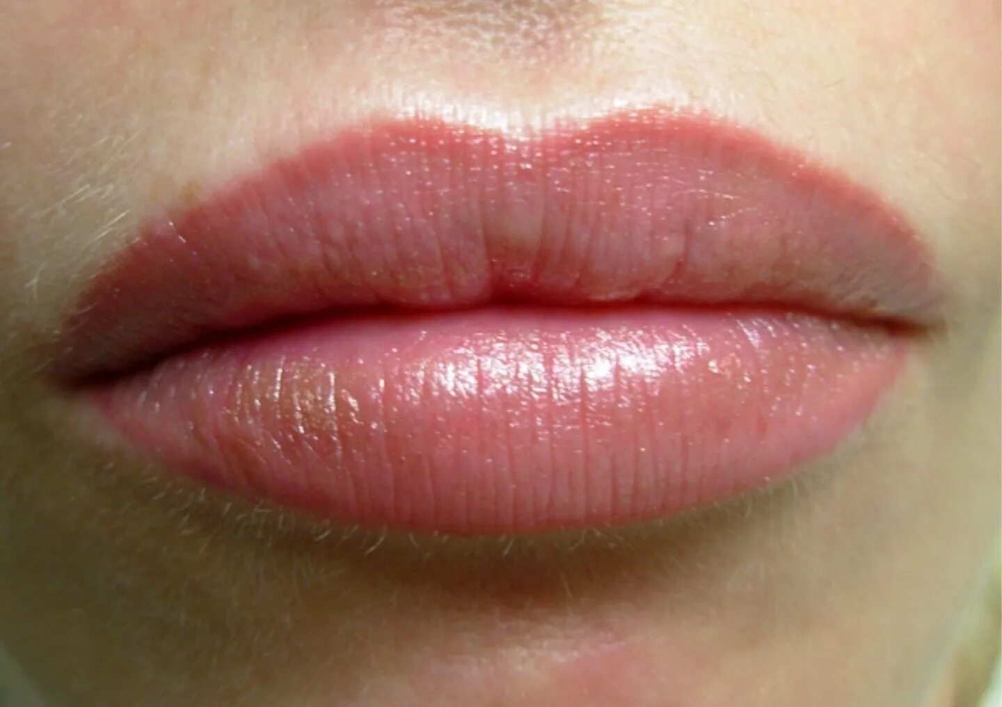 Перманент губ 3д. Татуаж губ нюд и контур с растушевкой. Перманентный макияж губ с растушевкой. Перманент губ с растушевкой.