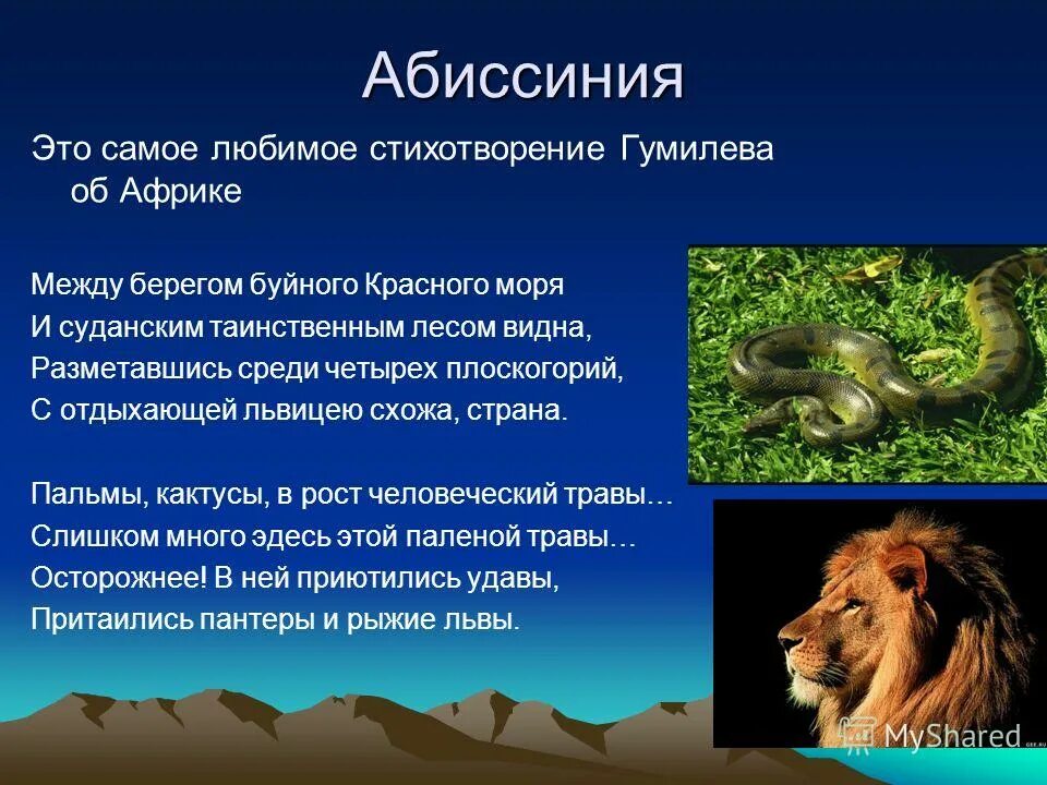 Гумилев стихи еще не раз вы вспомните меня. Путешествие гумилева в африку. Стишки про африку. Стихи гумилева про африку. Стихи гумилева про африку.