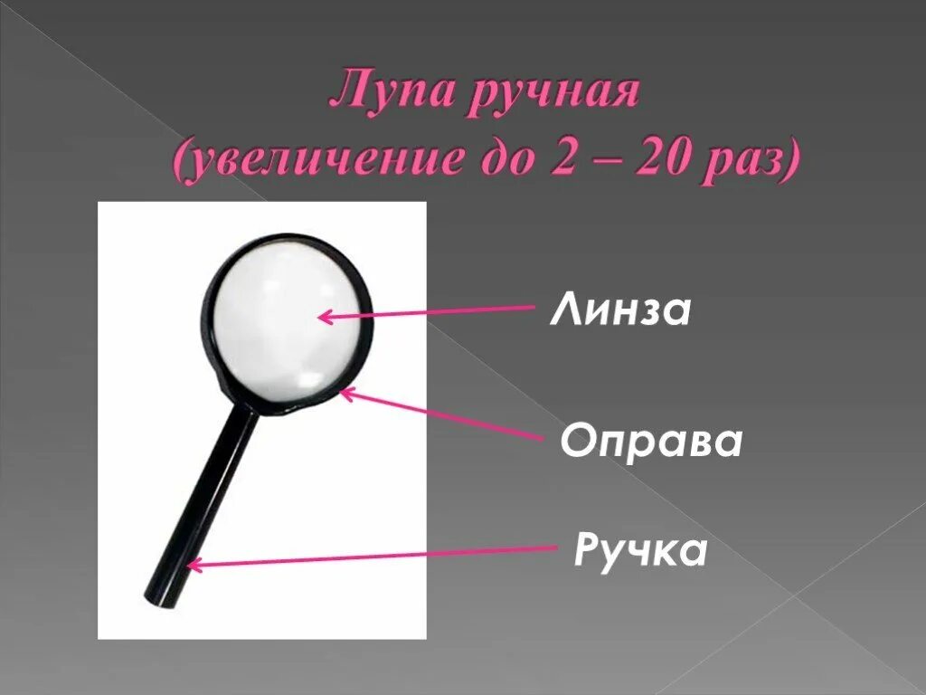 Состав лупы. Увеличительные приборы 5 класс биология лупа. части ручной лупы. строение ручной лупы. ручная лупа состоит из.