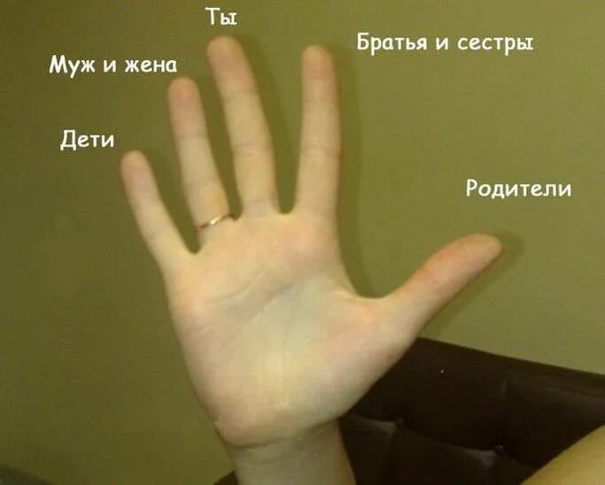 На какой руке безымянное кольцо. На какой палец одевают обручальное кольцо. на каком пальце носят обручальноткольцо. намеаком пальце носят оьручальное кольуцо. на аком пальце носят обручальное кольцр.