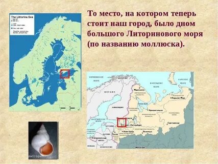 Древнее балтийское море