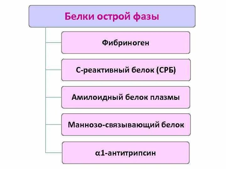 Белки 1 фаза. Белки острой фазы патофизиология. Белки ответа острой фазы при воспалении. Белки острой фазы патофизиология. Белки 1 фаза.