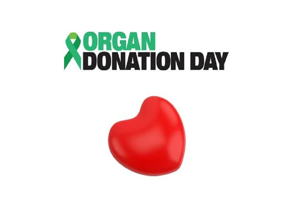 Donation definition. Organ donation. world organ donation day. донорство органов и тканей. donor day organ donation.
