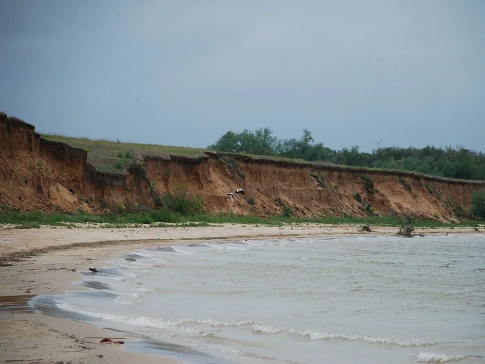 Волгодонск Цимлянское водохранилище. Цимлянское море Волгодонск. Цимлянское водохранилище Ростовской области. Цимлянское водохранилище обмелело. Цимлянское водохранилище уровень воды на сегодня