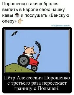 Свисс ватник
