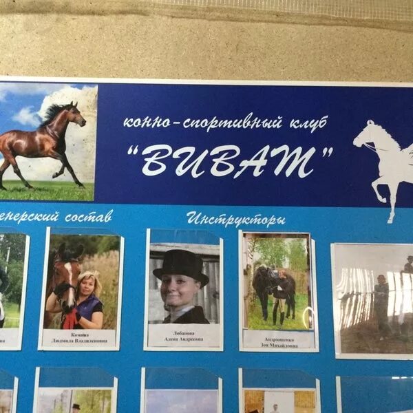 Лошади вологда. Кск виват вологда. Клуб виват вологда. Конный клуб виват вологда. Виват конюшня.