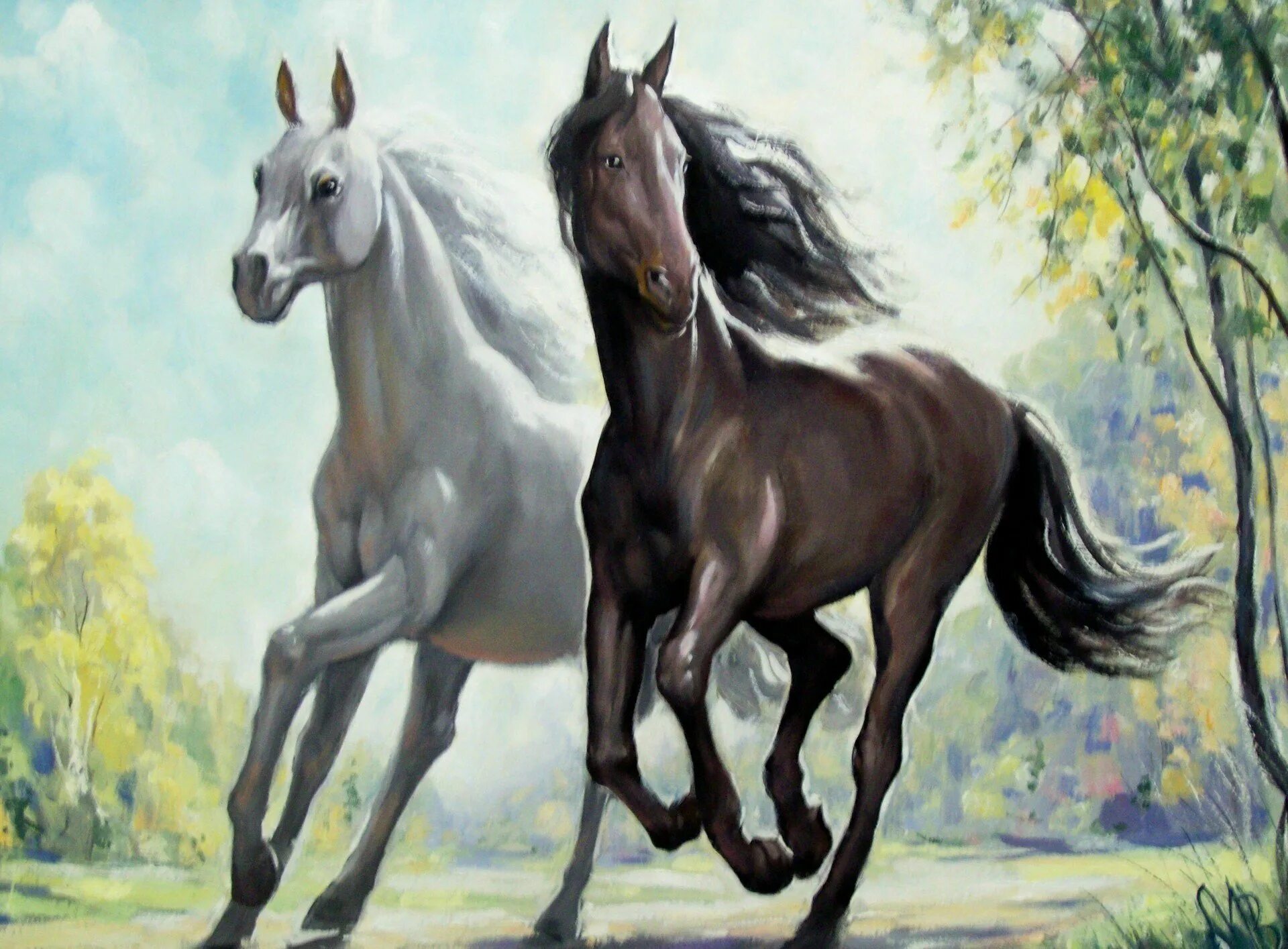 Несколько лошадок. Лошади. Пара лошадей. Картина лошади. Лошадь бежит.