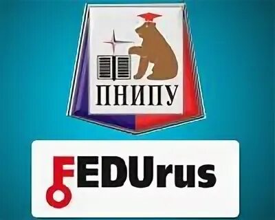 Библиотека пнипу