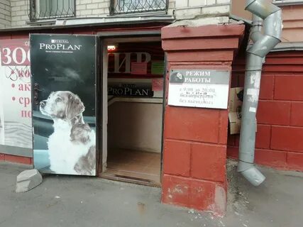 Пушкина 5 магазин
