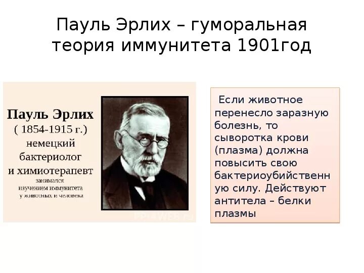 Кто из ученых разработал теорию. Пауль Эрлих основоположник иммунологии. Гуморальная теория иммунитета (основоположник п. Эрлих).. Эрлих Пауль открыл гуморальный иммунитет.. Основатель гуморальной теории иммунитета.