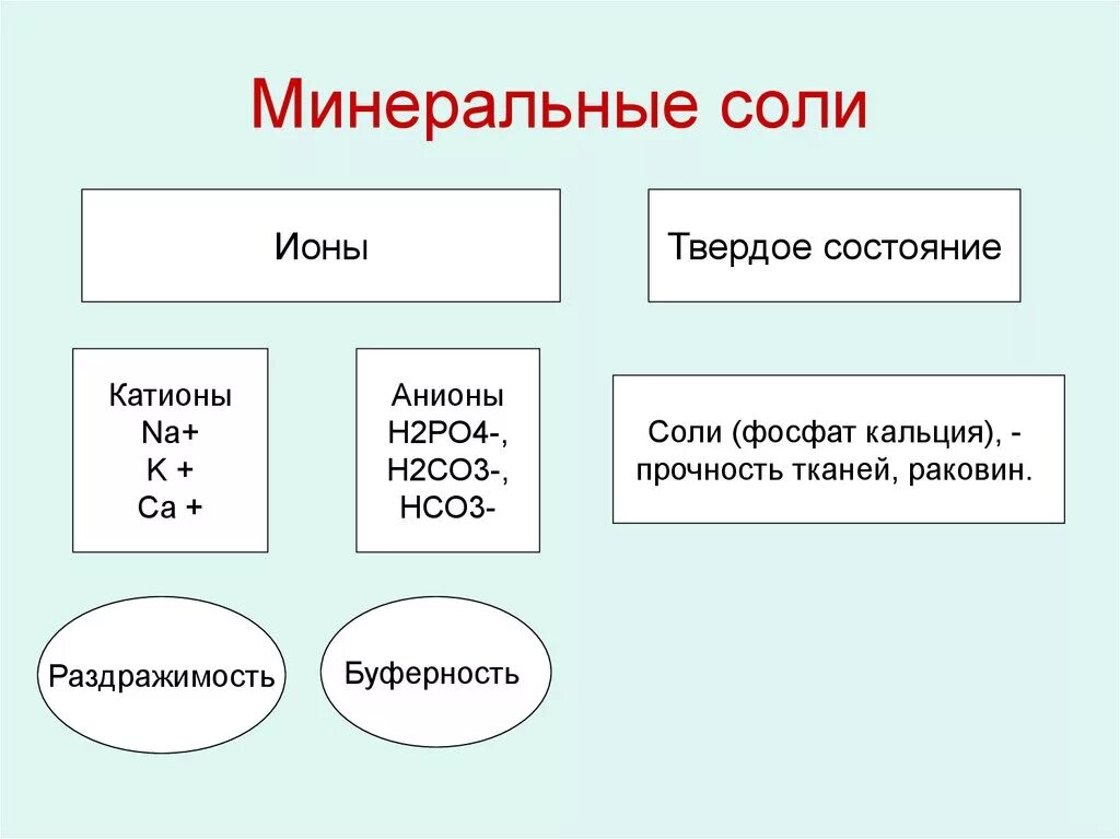 Значение минеральных солей кратко