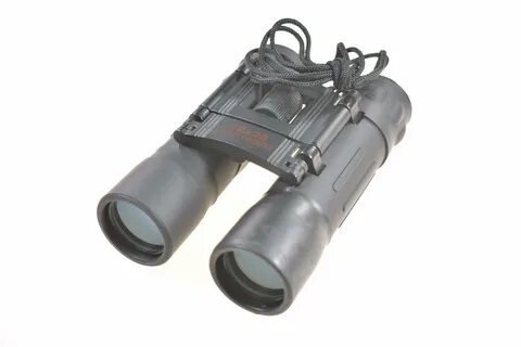 Search 12