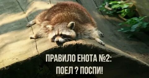 2 наелись