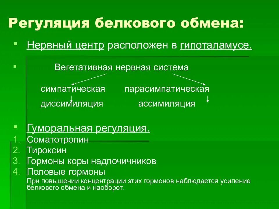 Какие гормоны регулируют обмен веществ. Регуляция обмена белков. Механизмы регуляции белкового обмена. Регуляция метаболизма белков. Нервная регуляция обмена белков.