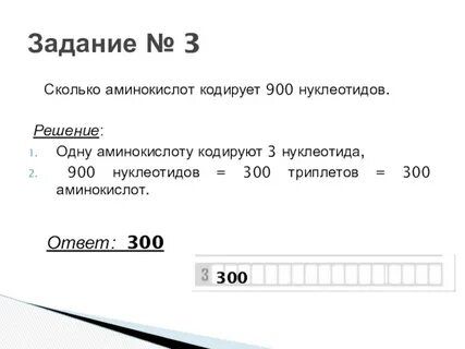 Сколько нуклеотидов кодирует триплет