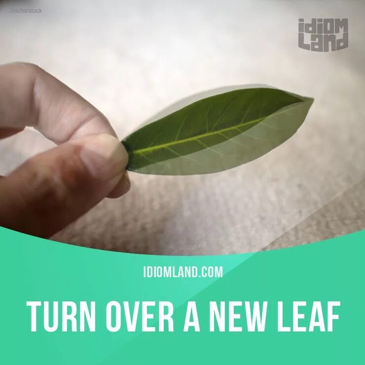 Turn over a New Leaf. Turn over a New Leaf идиома. To turn over. Turn over примеры.