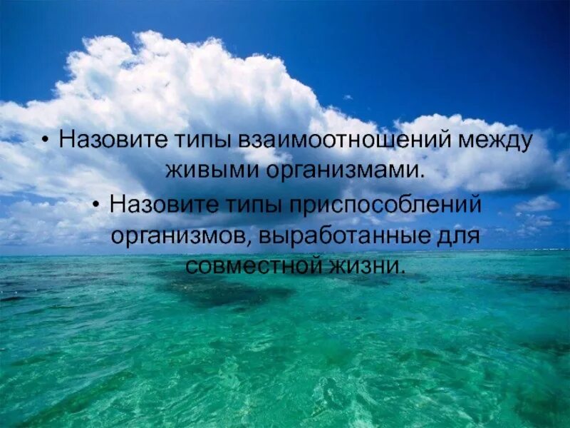 Океан роль в жизни человека. Значение мирового океана. Роль океана для человечества. Значение мирового океана для природы и человека. Важность мирового океана.