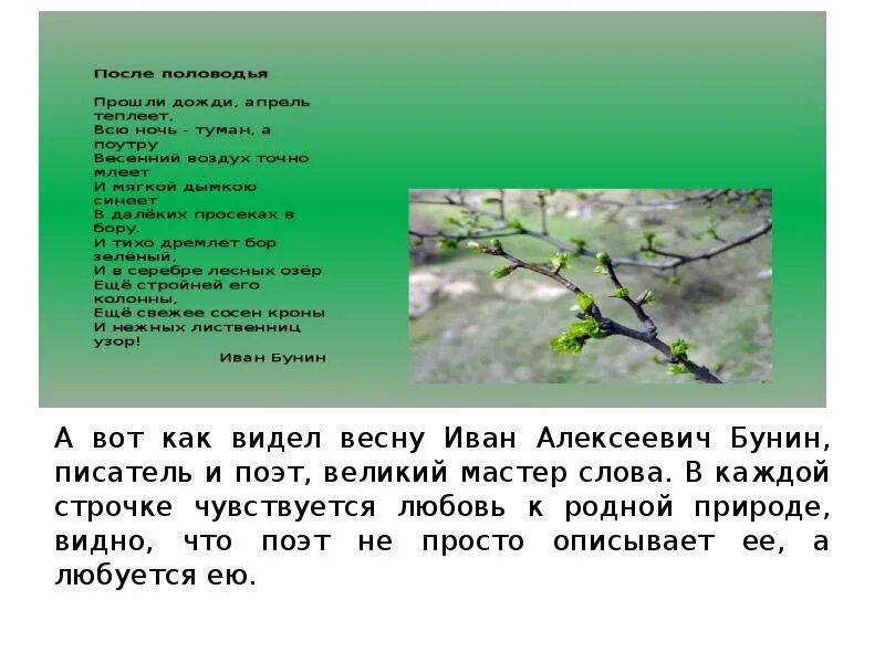 5 весенних слов. Текст про весну. Сообщение о весне. По весне текст. Художественное слово о весне.