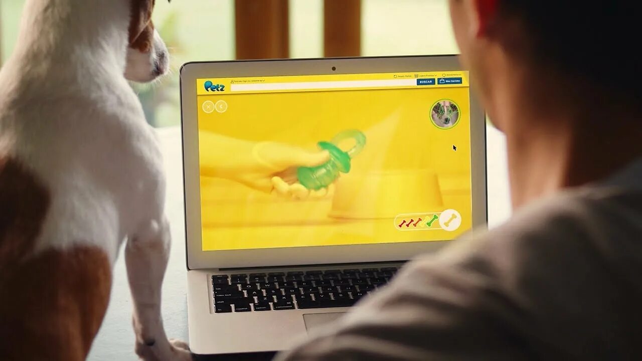 Фотографии электронных питомцев. Пёс Ниньо делает покупки. Pet создать
