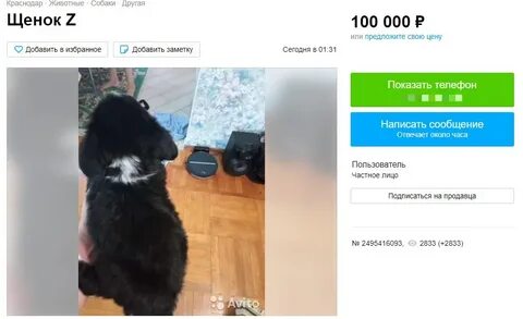 Объявления продам краснодар