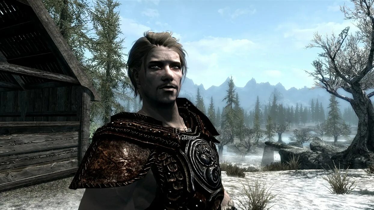 скайрим меню навыков. стражник виндхельма. скайрим восстановление древо навыков. скайрим мод на прокачку. скайрим мод на прокачку.