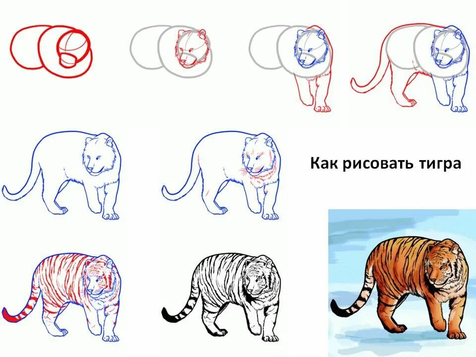 Час тигра как понять на схеме показать грамотная речь "Двенадцать ночи" Русский язык
