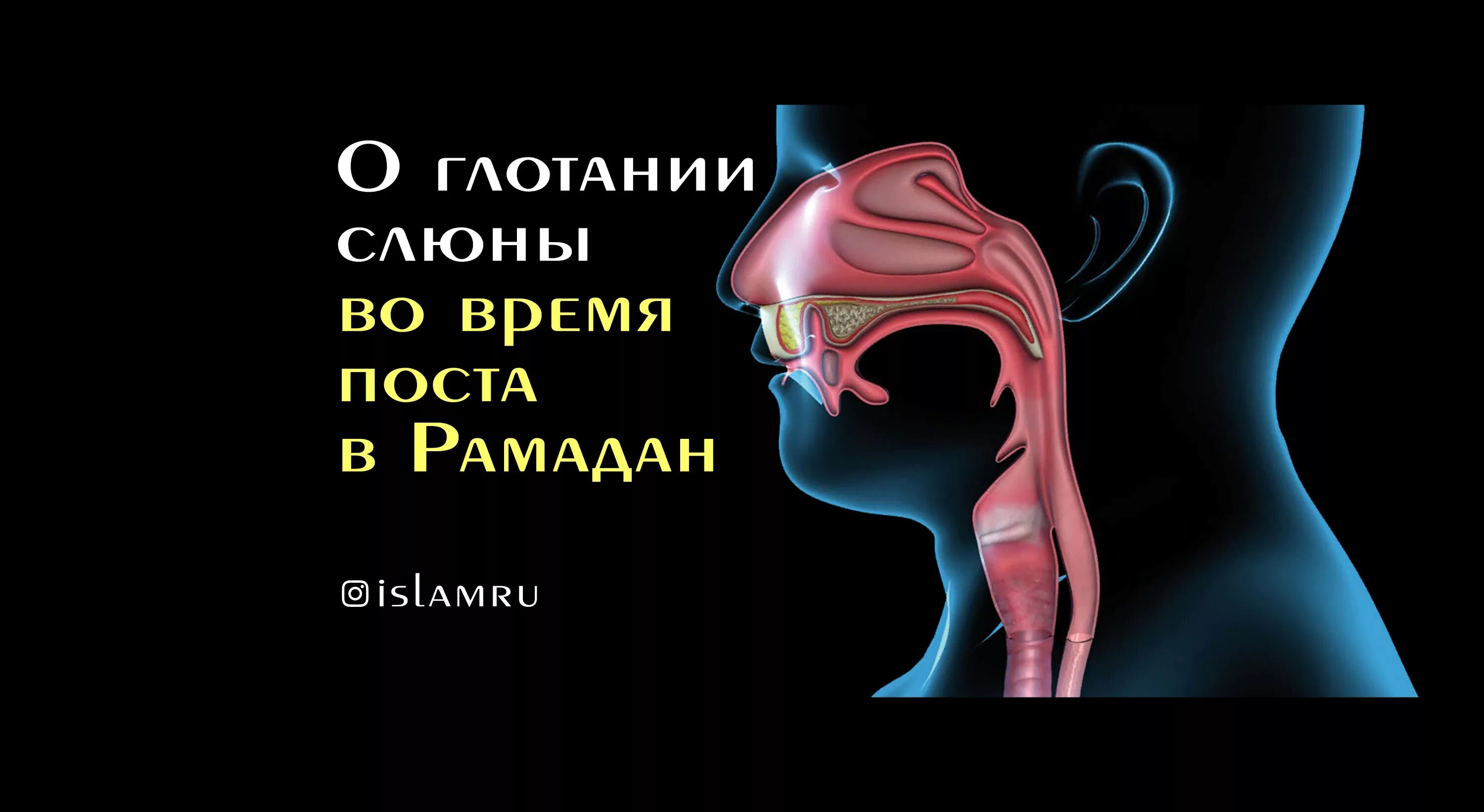 Можно проглатывать слюну во время поста рамадан. Глотание соплей в Рамадан. Глотание слюны во время поста Рамадан.