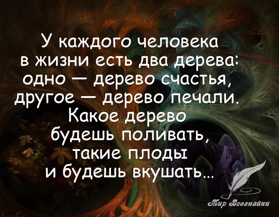 Высказывания о счастье человека. Мудрость жизни. Умные высказывания. Мудрые высказывания. Умные Мудрые высказывания.