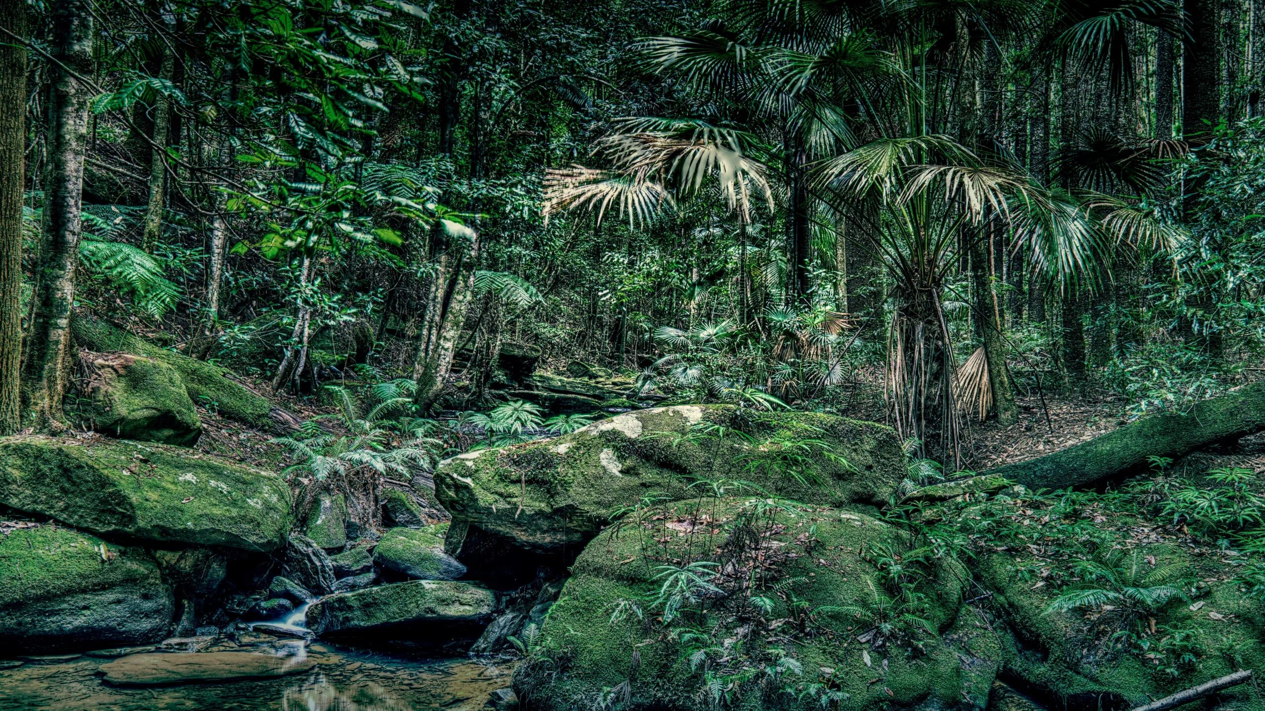 Jungle series
