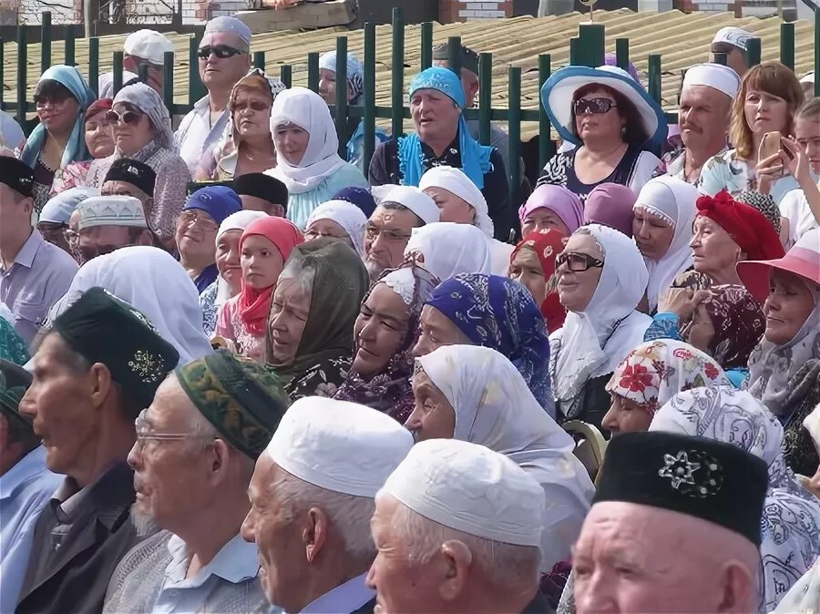 Погода в мокрые курнали. Погода в мокрые курнали