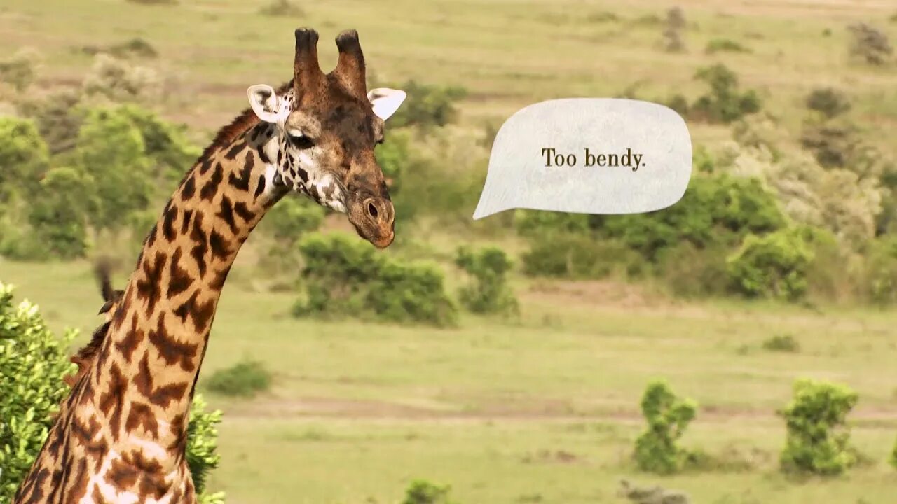 Всемирный день жирафов. Техподдержка жираф. Детеныш жирафа как называется. Жираф в ловушке. Жираф логотип бренд.