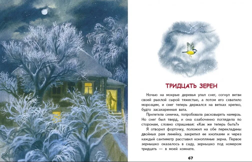 Ночью на мокрые деревья упал снег сравнение. Е Носов тридцать зёрен. Рассказ тридцать зерен.