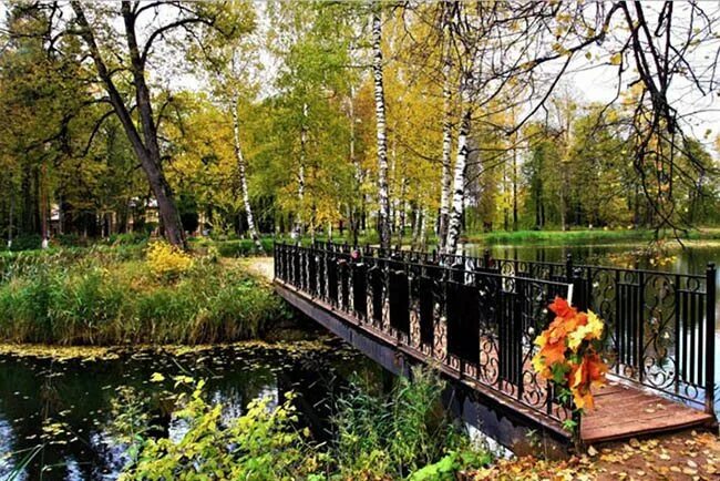 Клин город московская. О. Город клин достопримечательности. Сестрорецкий парк в клину лодочная станция. Клин подмосковье.