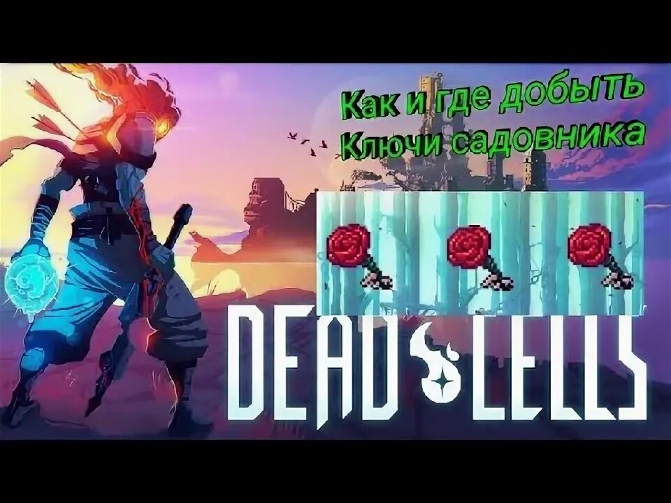 Dead cells ключ садовника. Dead cells ключ лунного цветка. Ключ садовника где. Ключ архитектора дед селлс. Где найти ключ садовника в дед селс.