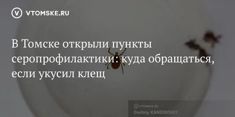 Куда обращаться если укусил клещ
