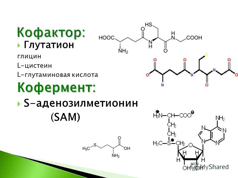 Глутатион отзывы пациентов