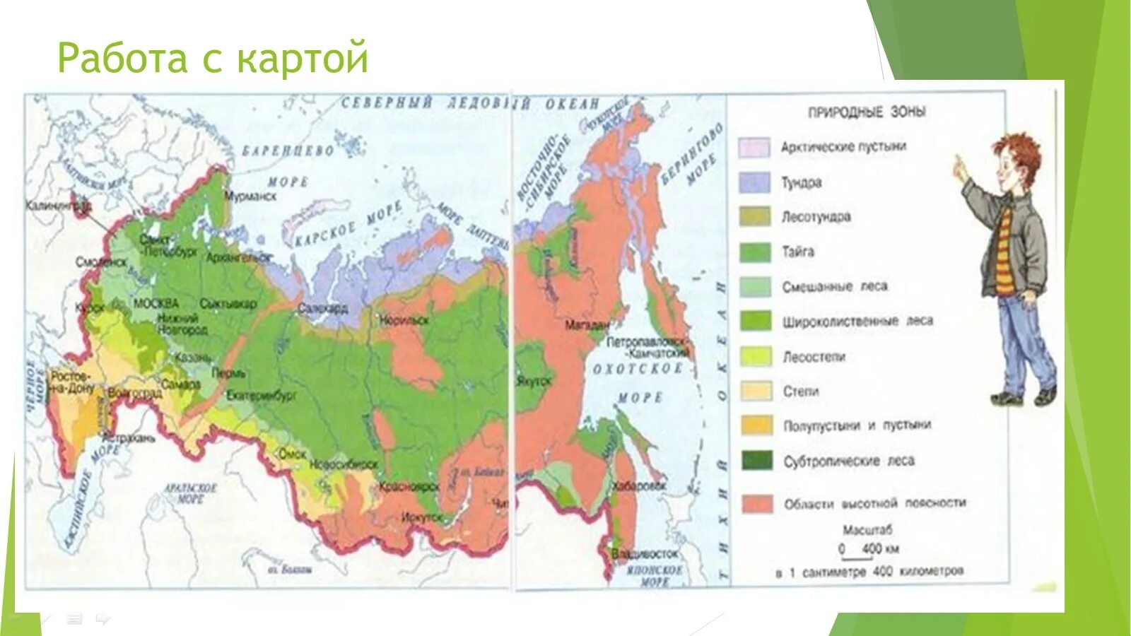 Царство деревьев какая природная зона