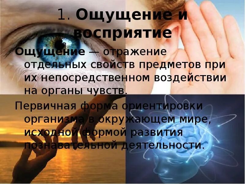 Закономерности ощущения и восприятия. Закономерности ощущений в психологии. комплексность восприятия это. отражение отдельных свойств предметов. закономерности ощущения и восприятия в психологии.