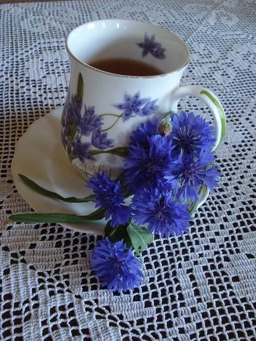 Чай с васильком. Полевые цветы в чашке. Доброе утро васильки. Чашка кофе и васильки.