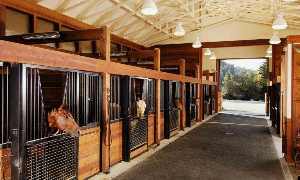 Стойло. Кск конкорд денники. Los establos конюшня. Конюшня внутри денники. Стойло.
