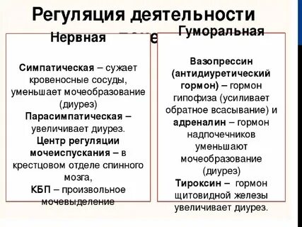 Особенности рефлекторной и гуморальной регуляции функций