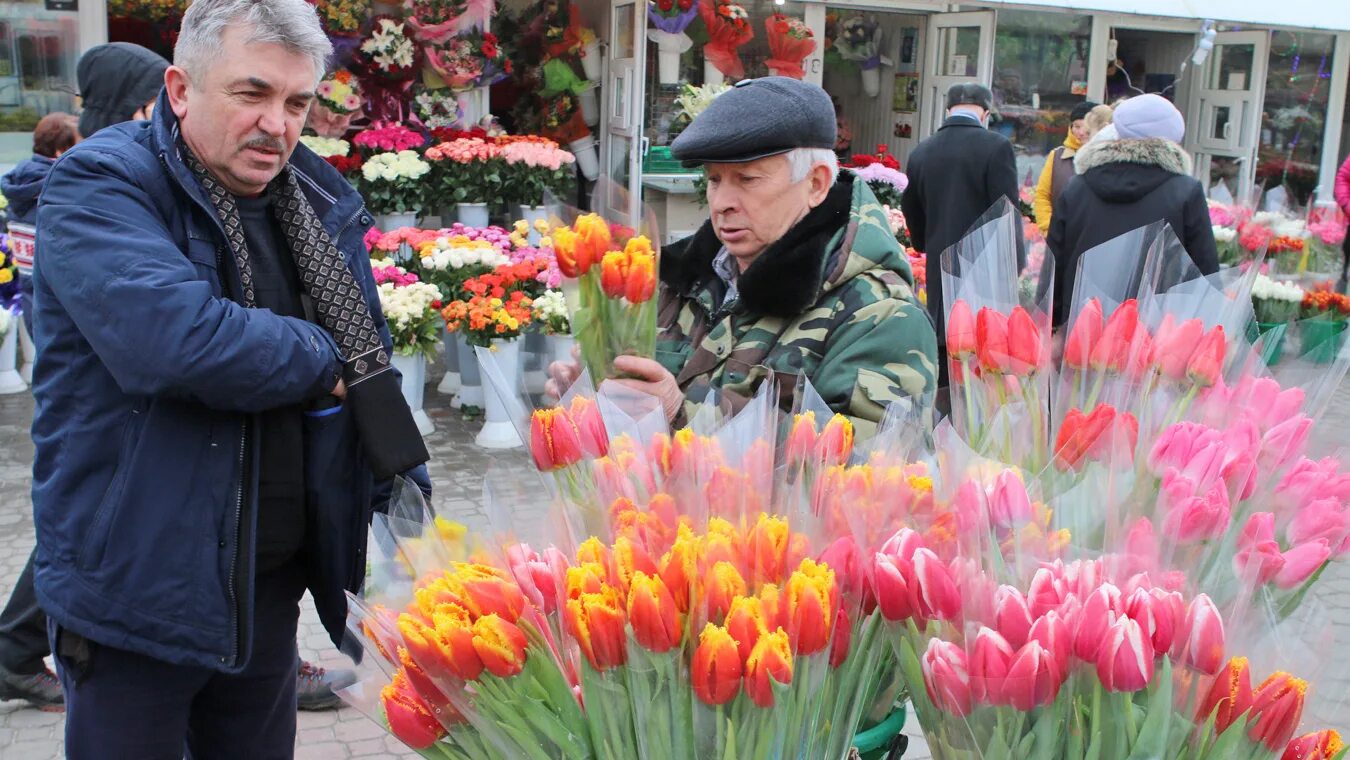 Сколько будут стоить тюльпаны в 2024. Голландские тюльпаны. Цвета тюльпанов. Букет цветов.