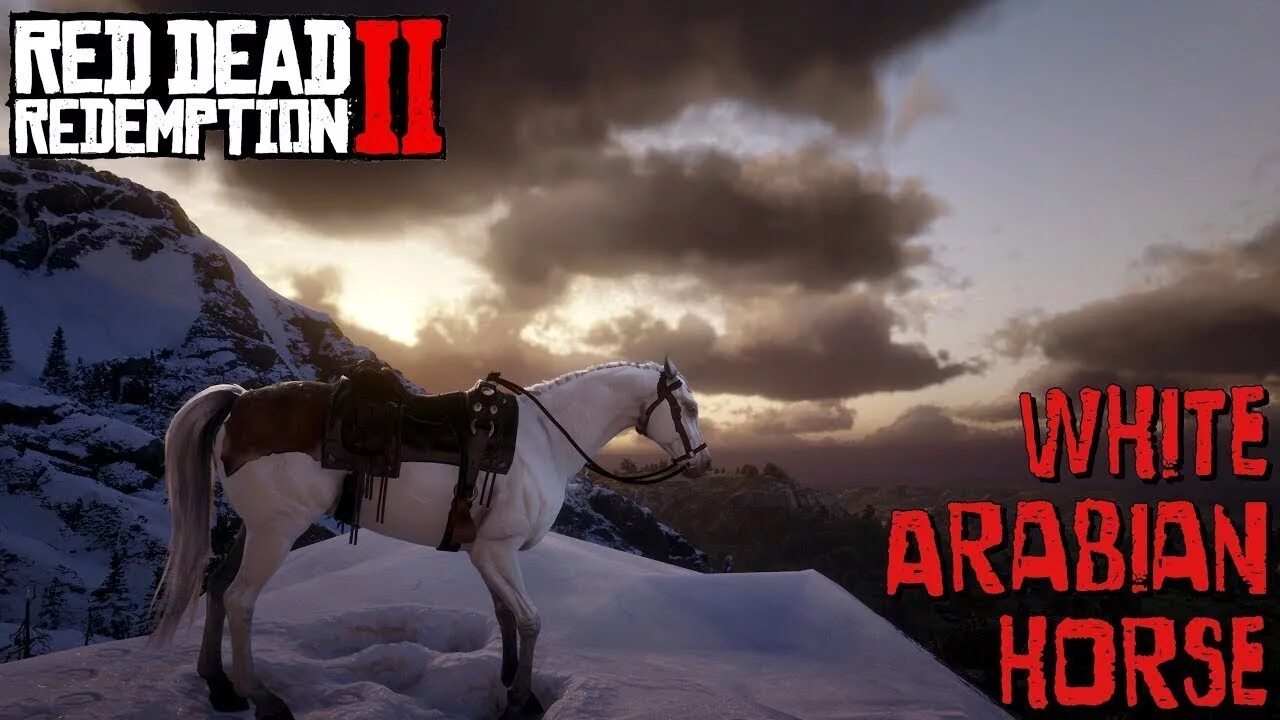 Rdr2 Arabian White Horse. Red Dead Redemption 2 Андалузская лошадь. Red Dead Redemption 2 Андалузская. Андалузская rdr2.
