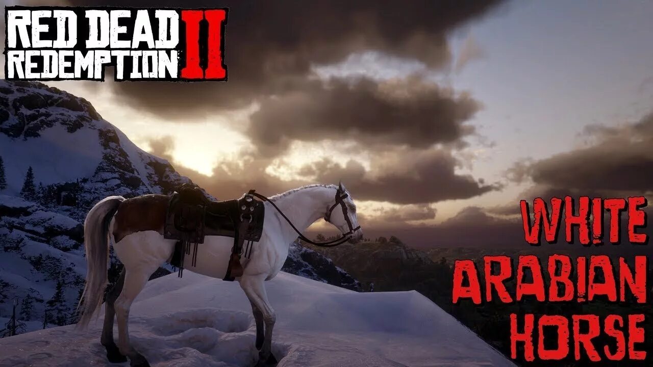 Rdr2 Arabian White Horse. Red Dead Redemption 2 Андалузская лошадь. Red Dead Redemption 2 Андалузская. Андалузская rdr2. Рдр 2 где найти арабскую лошадь